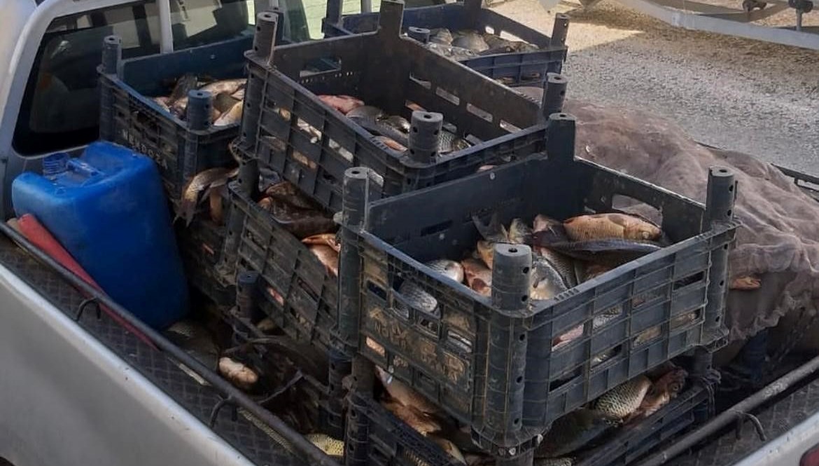 elazigda-kacak-avlanan-700-kilogram-balik-ele-gecirildi-CCP4JjEg.jpg