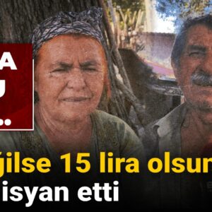 10 lira oldu ama hic degilse 15 lira olsun diyerek isyan etti vhGfJmiY