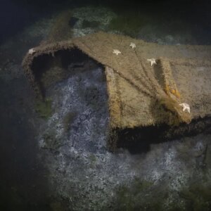 batik sehirde 26 yil sonra dalis ka2ijIXR