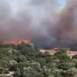 izmirde makilik yangini havadan ve karadan mudahale suruyor bpBrXlsO