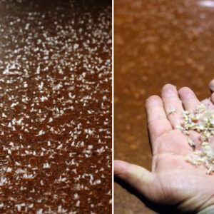 yol beyaza burundu once kar zannedildi sonra sineklerin olum dansi oldugu anlasildi 94YIZcLL