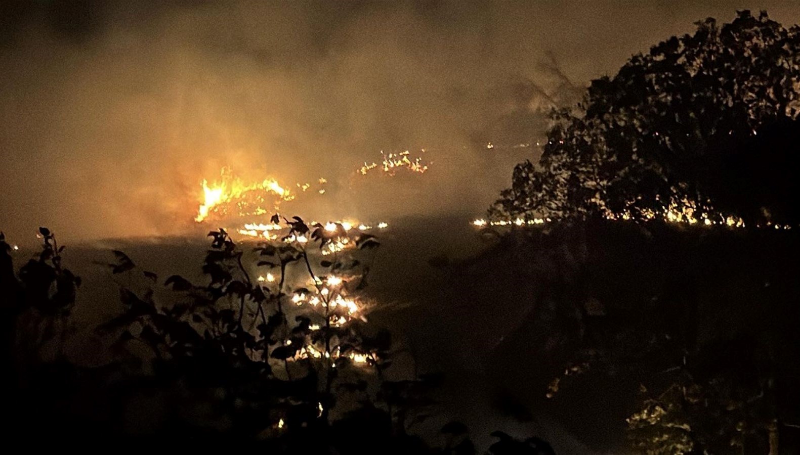 tekirdagda aniz yangini yerlesim yerine ulasmadansonduruldu B3IRQbvm