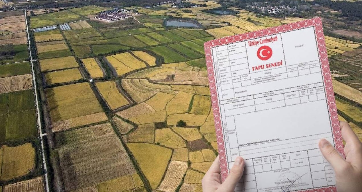 13 bin lirasi olan tapu sahibi olacak milli emlaktan dev arsa firsati S2amyQil.jpg