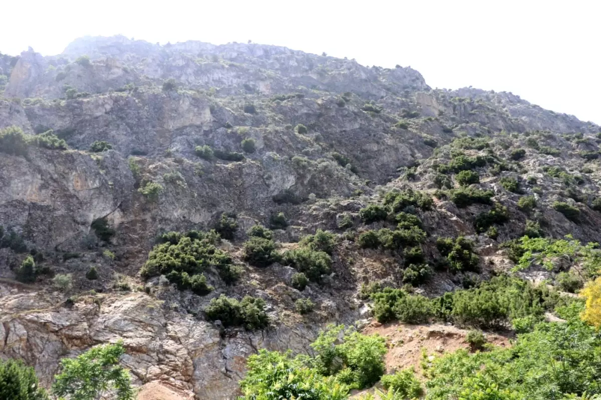 ispartada kaybolan 75 yasindaki adam icin arama calismalari baslatildi 73MCtwNF.jpg