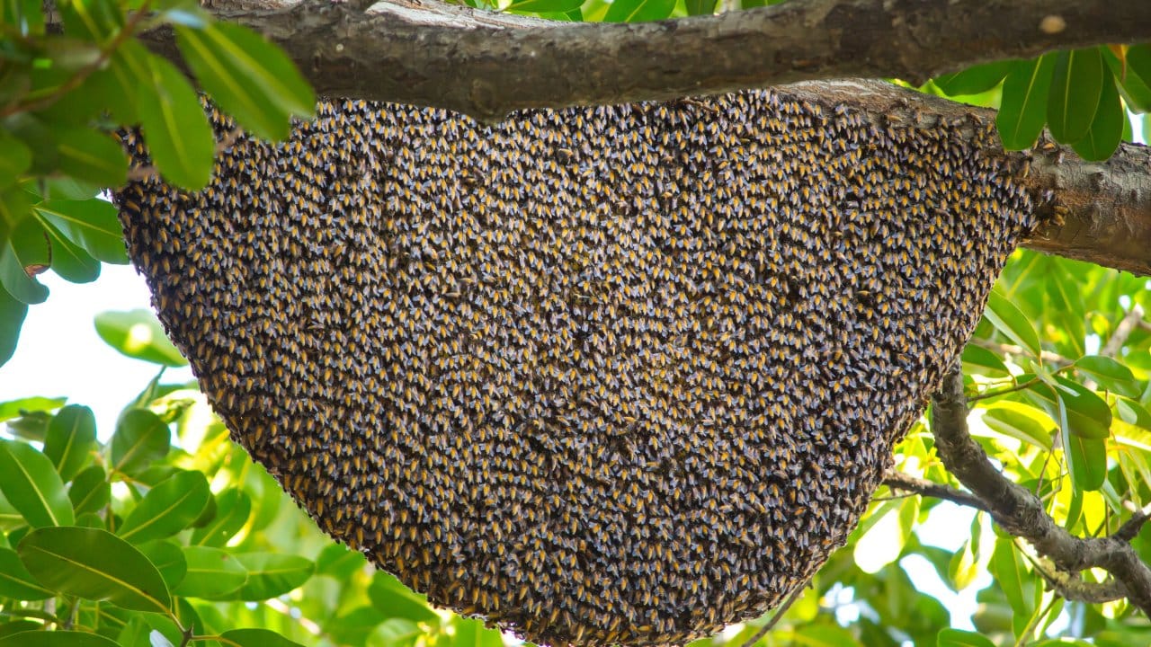 bingolde ureticilere yuzde 75 hibe verildi 9GTzcfnK.jpg