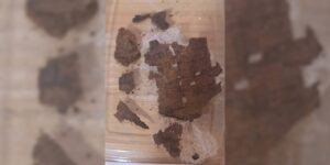 antik-mezardan-2-bin-800-yillik-destanin-parcasi-cikti-8Vv2x5ak