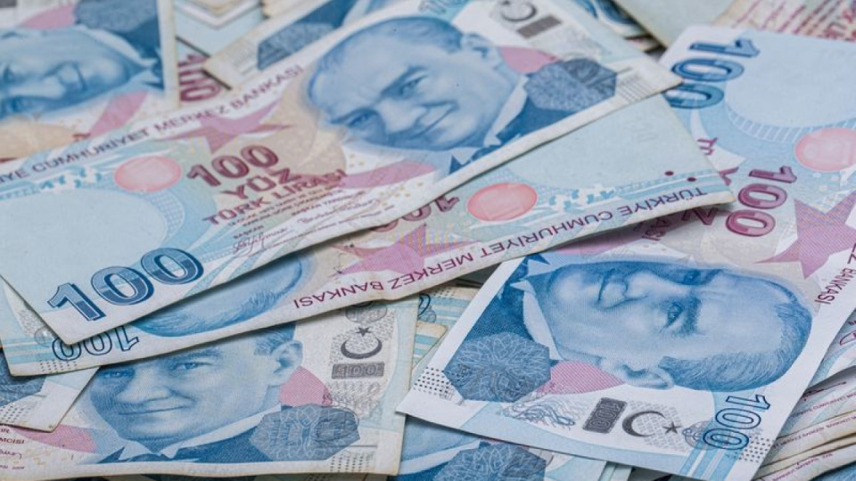 Sindirim Süreci ve Organları Hakkında Bilgiler