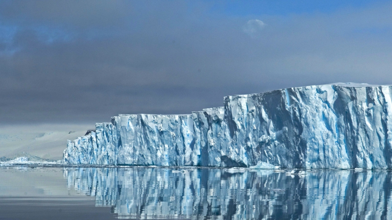 Haber gorseli