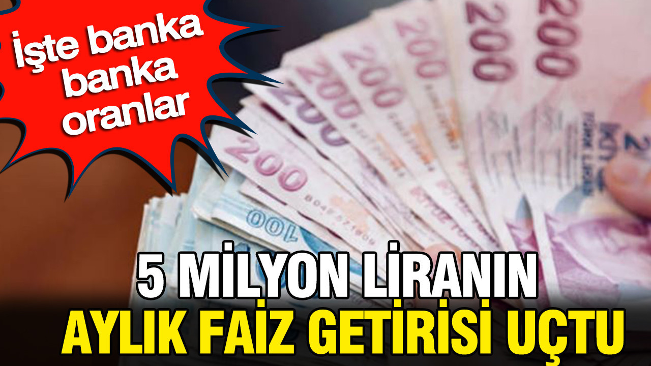 5 milyon liranın aylık faiz getirisi uçtu: İşte banka banka oranlar Haber gorseli