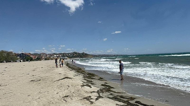 Tekirdag 242424 1dvd